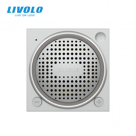 Механизм Bluetooth 5.0 колонка Livolo серый (VL-FCF-2IP)