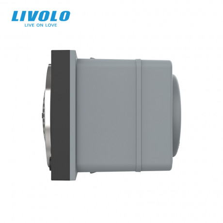 Механизм Bluetooth 5.0 колонка Livolo черный (VL-FCF-2BP)