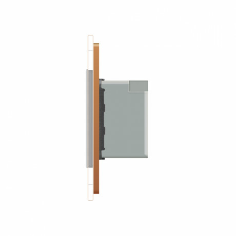 Терморегулятор со встроенным датчиком температуры Livolo золото серый (VL-C701TM-13/15)