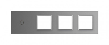 Сенсорная панель комбинированная для выключателя 1 сенсор 3 розетки (1-0-0-0) Livolo серый стекло