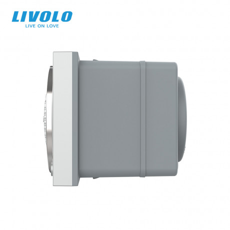 Механизм Bluetooth 5.0 колонка Livolo серый (VL-FCF-2IP)