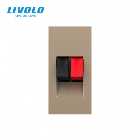 Механизм розетка Hi-Fi аудио Livolo золото (VL-FCSD-1APS01)