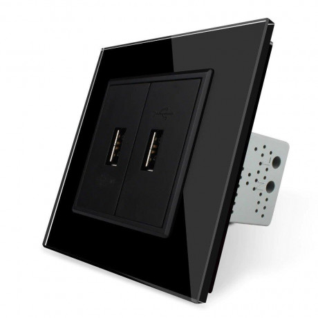 Розетка двойная USB с блоком питания Livolo черный стекло (VL-C792U-12)