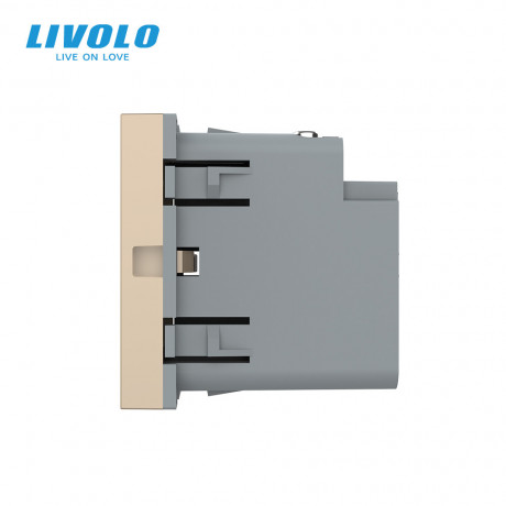 Механизм розетка USB type C с блоком питания 45W Livolo золото (VL-FCUC-2AP)